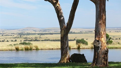 Tuki Trout Farm And Retreat - Accommodation 4U 3
