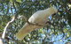 River Gardens Bed And Breakfast Farmstay - thumb 1
