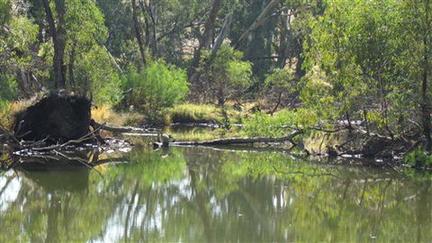 River Gardens Bed And Breakfast Farmstay - Accommodation 4U 2