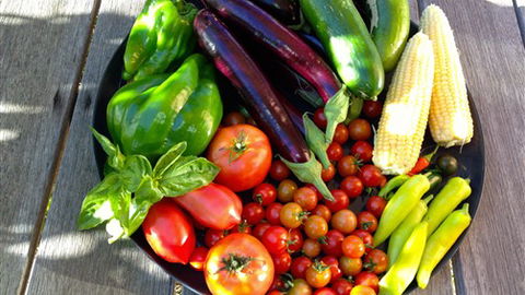 Griffins Hill Retreat - Accommodation 4U 1