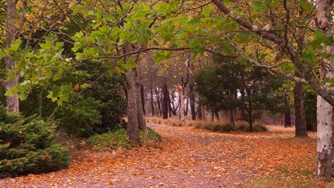 Griffins Hill Retreat - Accommodation 4U 5