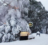Feathertop Alpine Lodge - Accommodation 4U