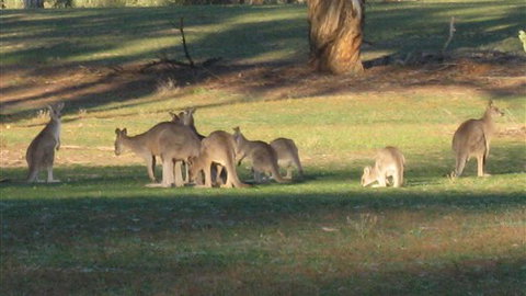 Savernake Farmstay - Accommodation 4U 8