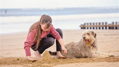 Front Beach Torquay Beach Houses - Accommodation 4U 4