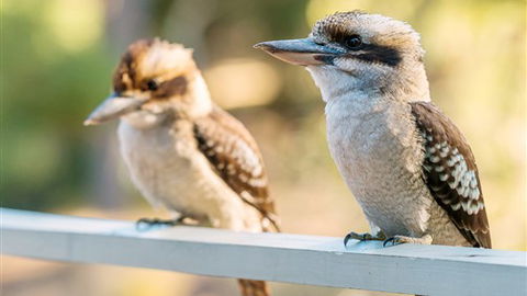 Serenity Halls Gap: Nat Park Frontage - Accommodation 4U 6