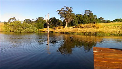 Cygnet Park Country Retreat - Accommodation 4U 4