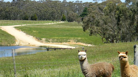 Cygnet Park Country Retreat - Accommodation 4U 3