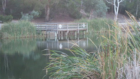 Mallard House Ballarat - Accommodation 4U 5
