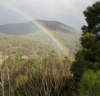 Wattletree Cottage - Accommodation 4U