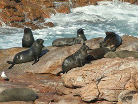 Foul Bay SA Accommodation 4U