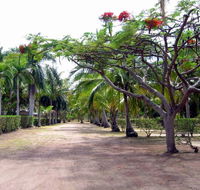Alva Beach Tourist Park - Accommodation 4U