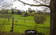 Amble Fern Studio - thumb 1
