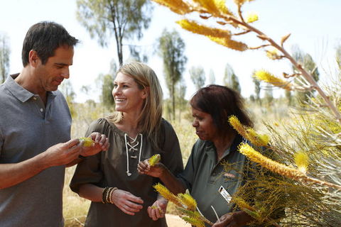 Ayers Rock Campground - Accommodation 4U 2