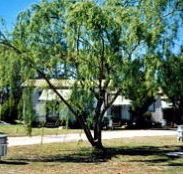 Blue Topaz Caravan Park  Camping Ground - Accommodation 4U
