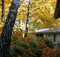 Bogong Village - Accommodation 4U