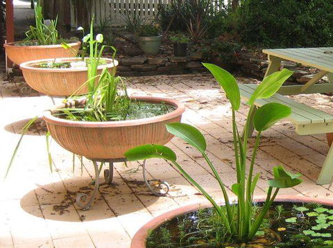 Burwood Bed & Breakfast - Accommodation 4U 3
