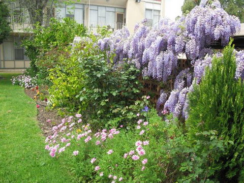 Capri Lodge Apartments - Accommodation 4U 1