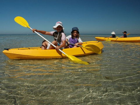 Ceduna Shelly Beach Caravan Park - Accommodation 4U 4