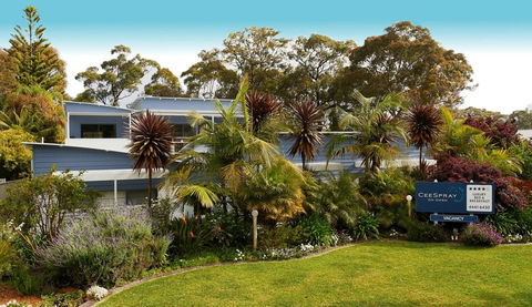 CeeSpray On Owen - Accommodation 4U 8