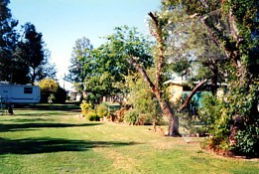 Condamine River Caravan Park - Accommodation 4U 0