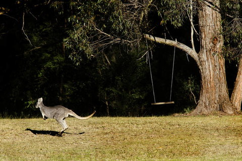 Cottages On Mount View - Accommodation 4U 1