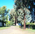 Cudal Caravan Park - Accommodation 4U