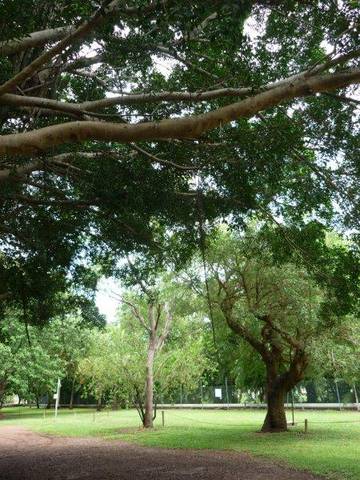 Discovery Holiday Parks - Darwin - Accommodation 4U 10