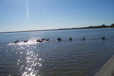 Discovery Holiday Parks - Lake Bonney - Accommodation 4U 1