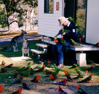 Inland Waters Holiday Parks Burrinjuck - Accommodation 4U