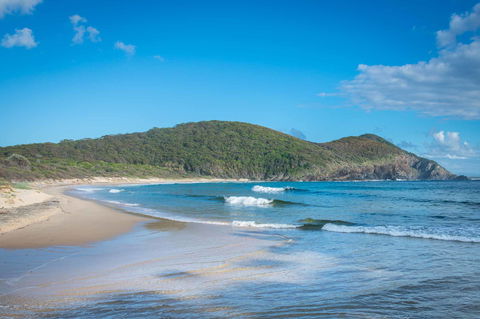 Pacific Palms Resort - Accommodation 4U 9