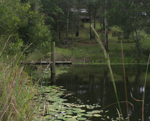 Maleny Country Cottages - Accommodation 4U 4