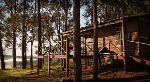 Balingup Heights Hilltop Forest Cottages - Accommodation 4U 6