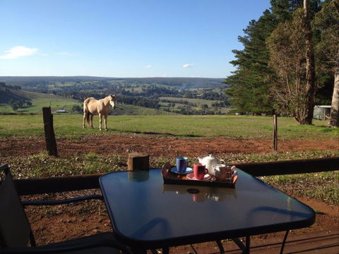 Balingup Heights Hilltop Forest Cottages - Accommodation 4U 7