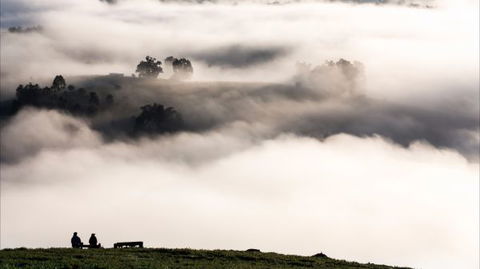 Balingup Heights Hilltop Forest Cottages - Accommodation 4U 9