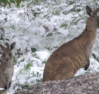 Barokee campground - Accommodation 4U