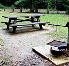 Bellbird campground - Accommodation 4U