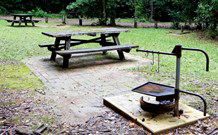 Bellbird Campground - Accommodation 4U 0