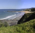 Coledale Beach Camping Reserve - Accommodation 4U
