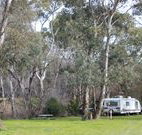 Culcairn Caravan Park - Accommodation 4U