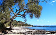 Currarong Beachside Holiday Park - Accommodation 4U 0