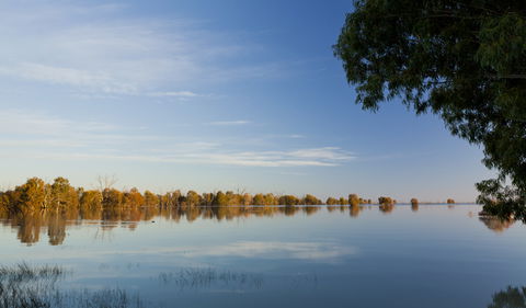 Darling River Campground - Accommodation 4U 2