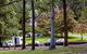 Dingo Tops Campground - thumb 1
