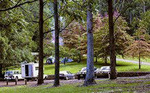 Dingo Tops Campground - Accommodation 4U 1
