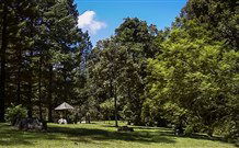 Dingo Tops Campground - Accommodation 4U 2