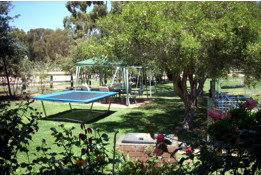 Tarcutta Halfway Motor Inn/Horse Hotel - Accommodation 4U 5