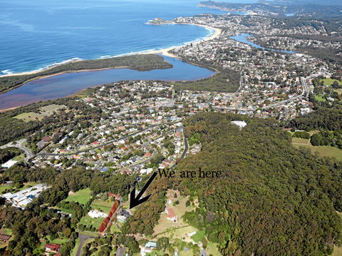 Terrigal Hinterland B&B - Accommodation 4U 9