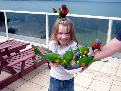 The Mitchells Waterfront Bed & Breakfast - Accommodation 4U 3