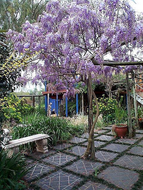 The Retreat At Froog Moore Park - Accommodation 4U 2