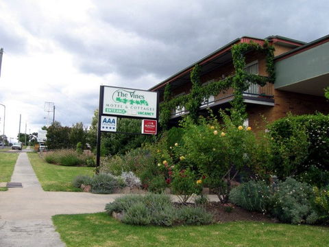 The Vines Motel & Cottages - Accommodation 4U 0