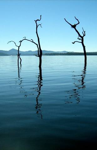 Tinaroo Lake Resort - Holiday Apartments - Accommodation 4U 11